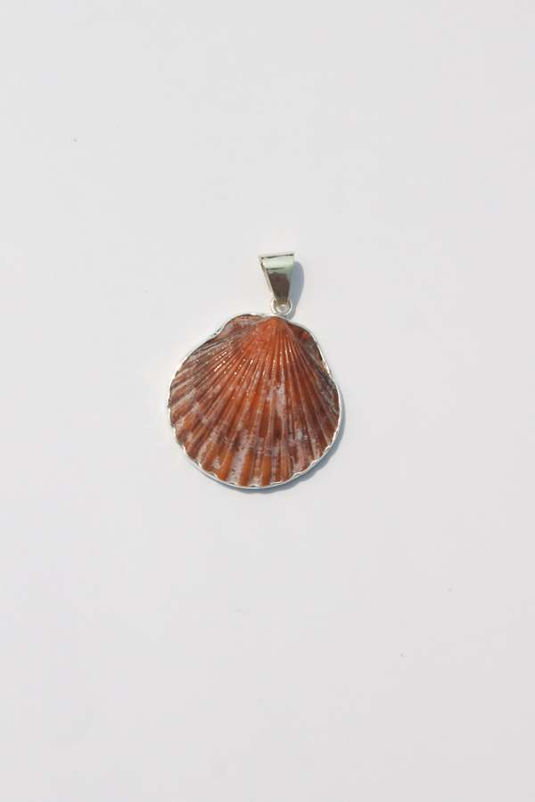 Odissea NY Medium Shell Pendants