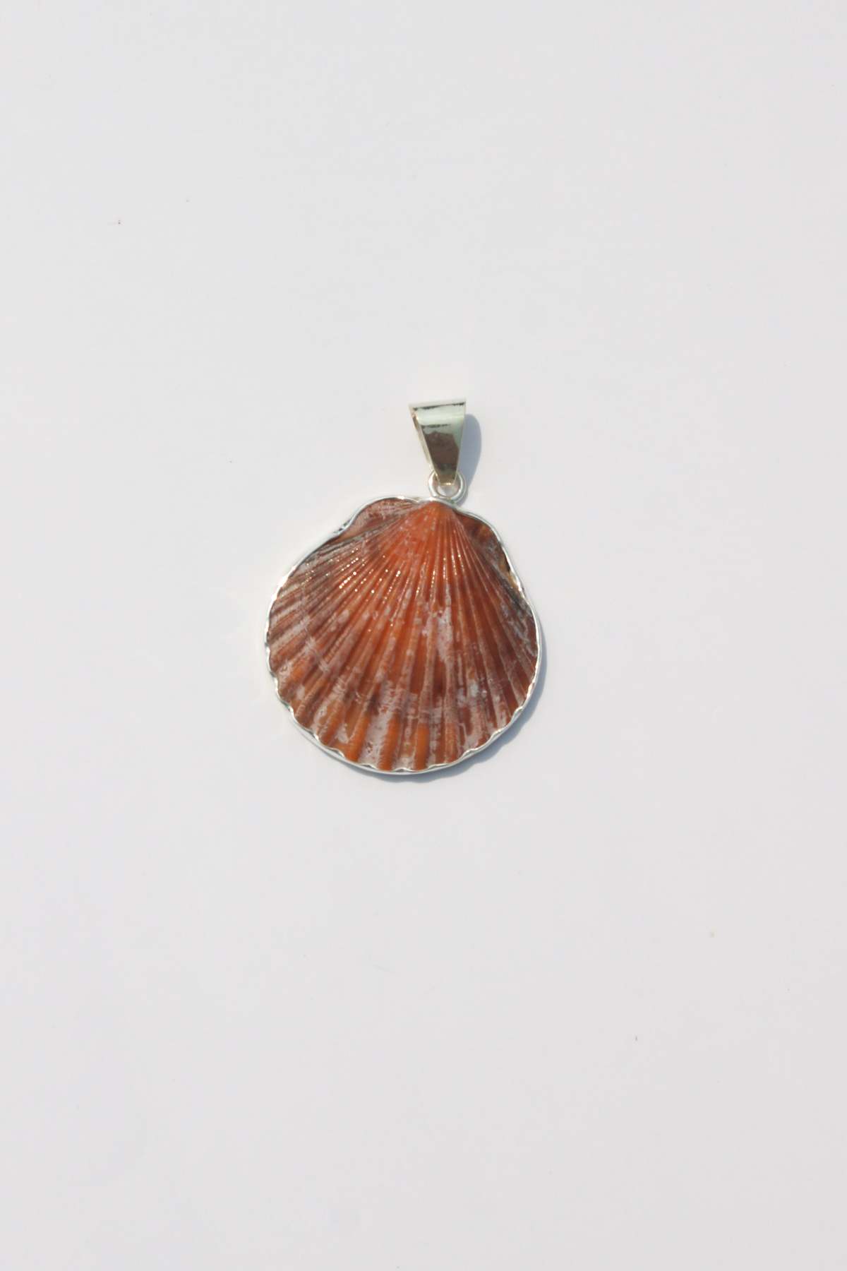 Odissea NY Medium Shell Pendants - Image 9 of 25
