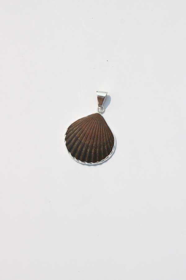 Odissea NY Medium Shell Pendants