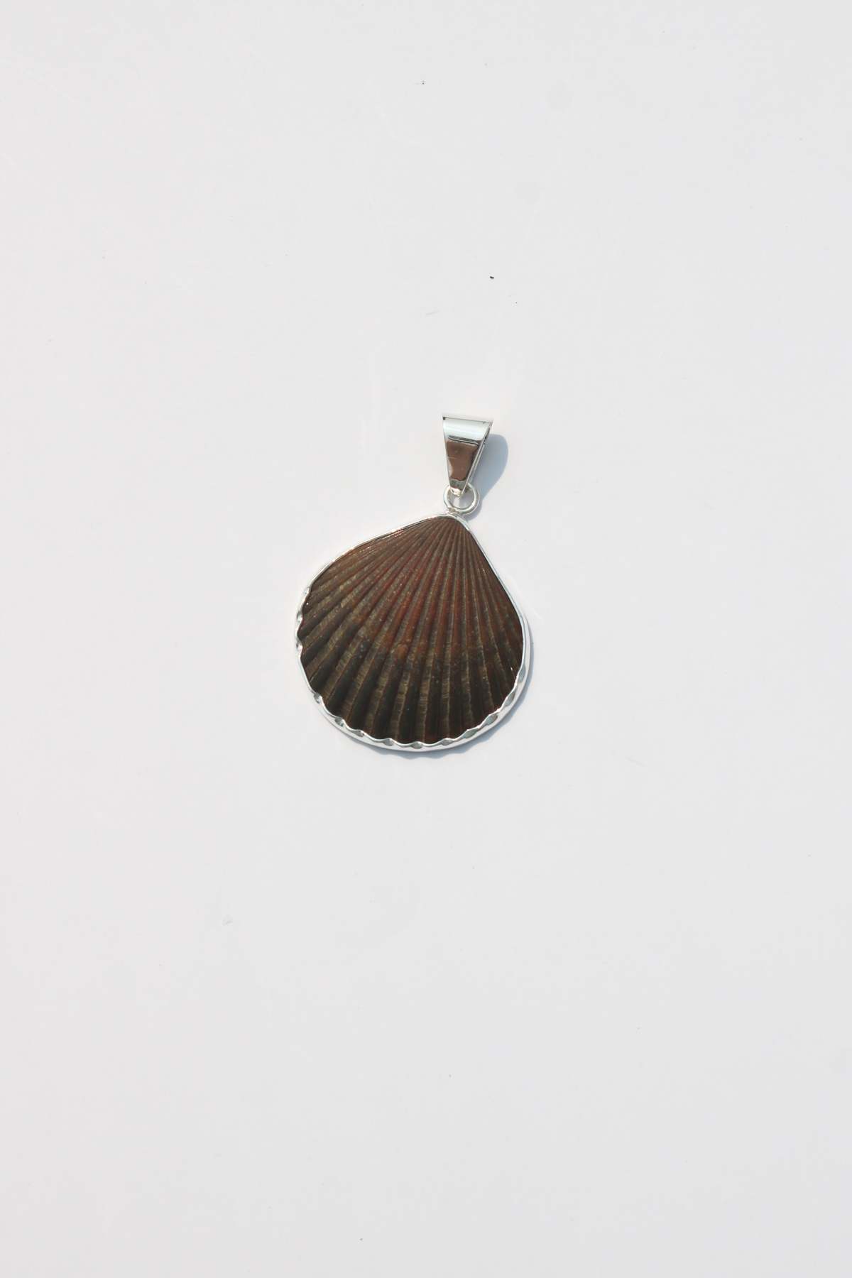 Odissea NY Medium Shell Pendants - Image 13 of 25