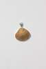 Odissea NY Medium Shell Pendants - Thumbnail 19