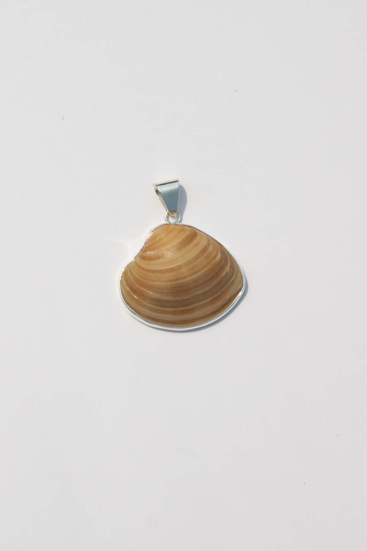 Odissea NY Medium Shell Pendants - Image 19 of 25