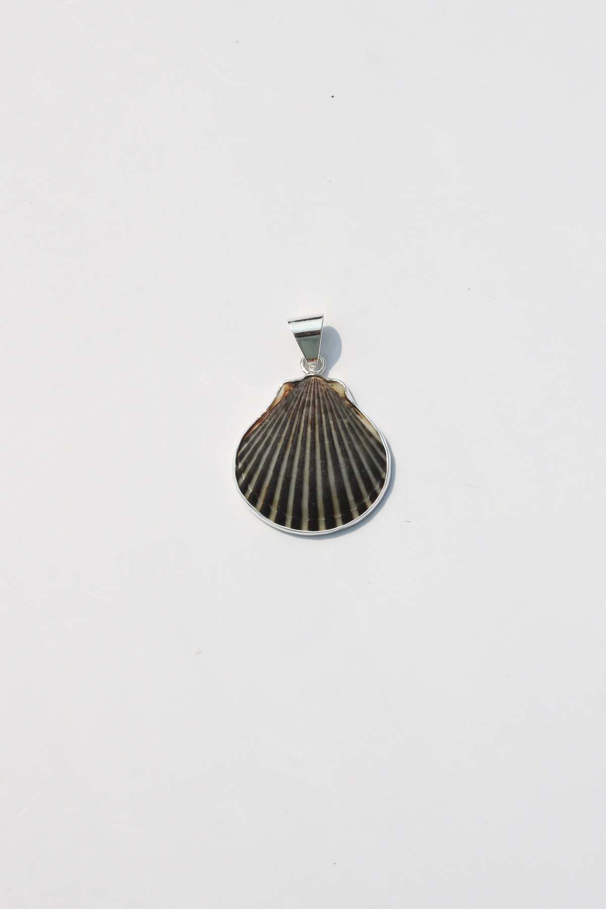 Odissea NY Medium Shell Pendants - Image 20 of 25
