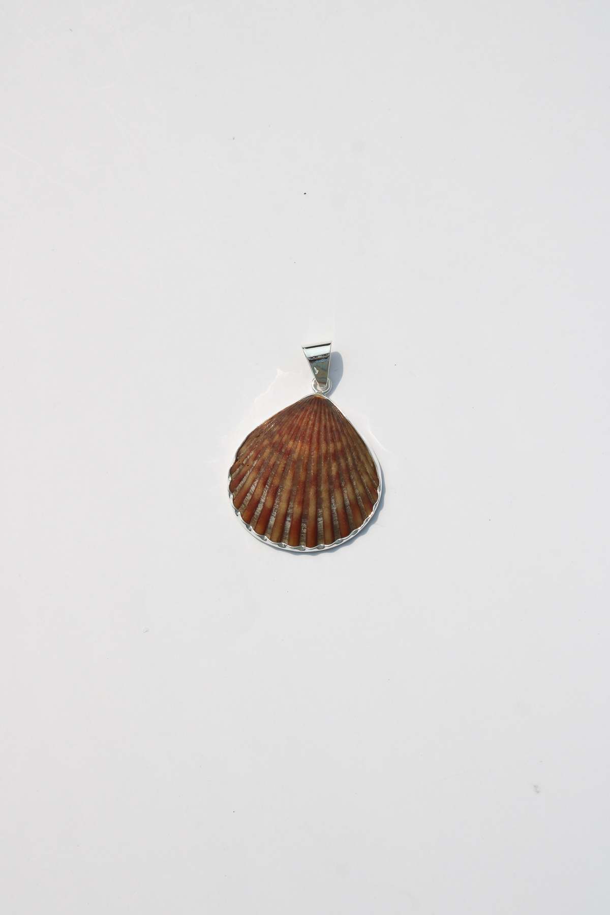 Odissea NY Medium Shell Pendants - Image 24 of 25