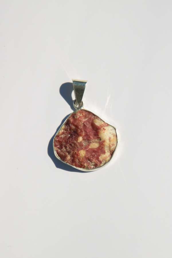 Odissea NY Medium Shell Pendants