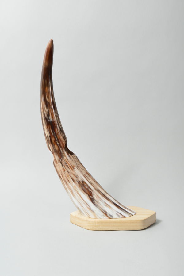 Maadili Collective Balanced Horn Wine Holder