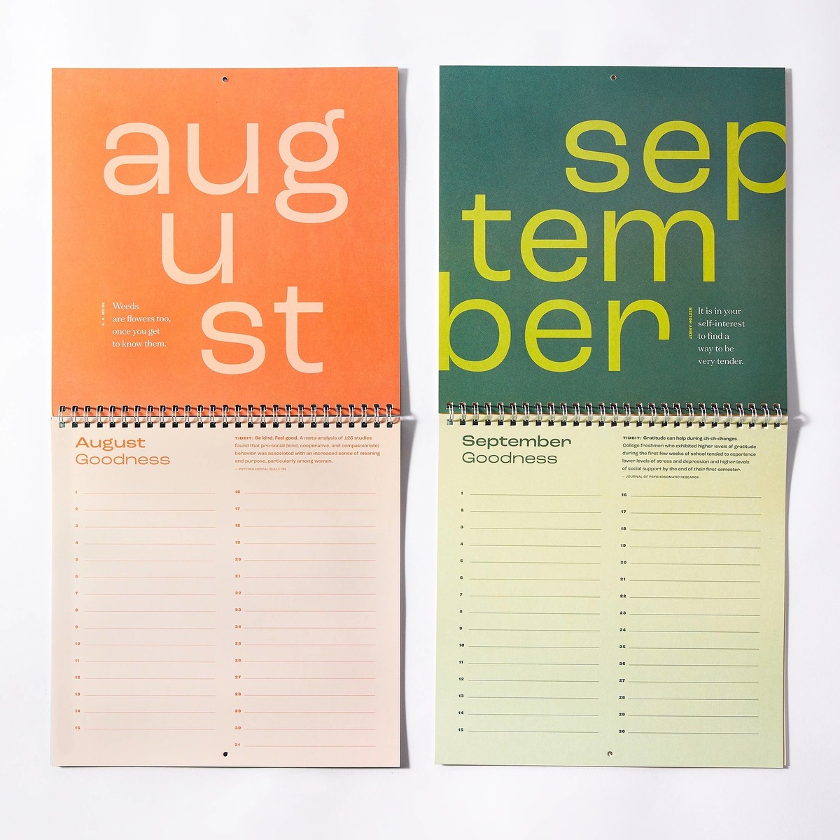 Free Period Press Calendar of Good: A Gratitude Calendar - Image 2 of 7