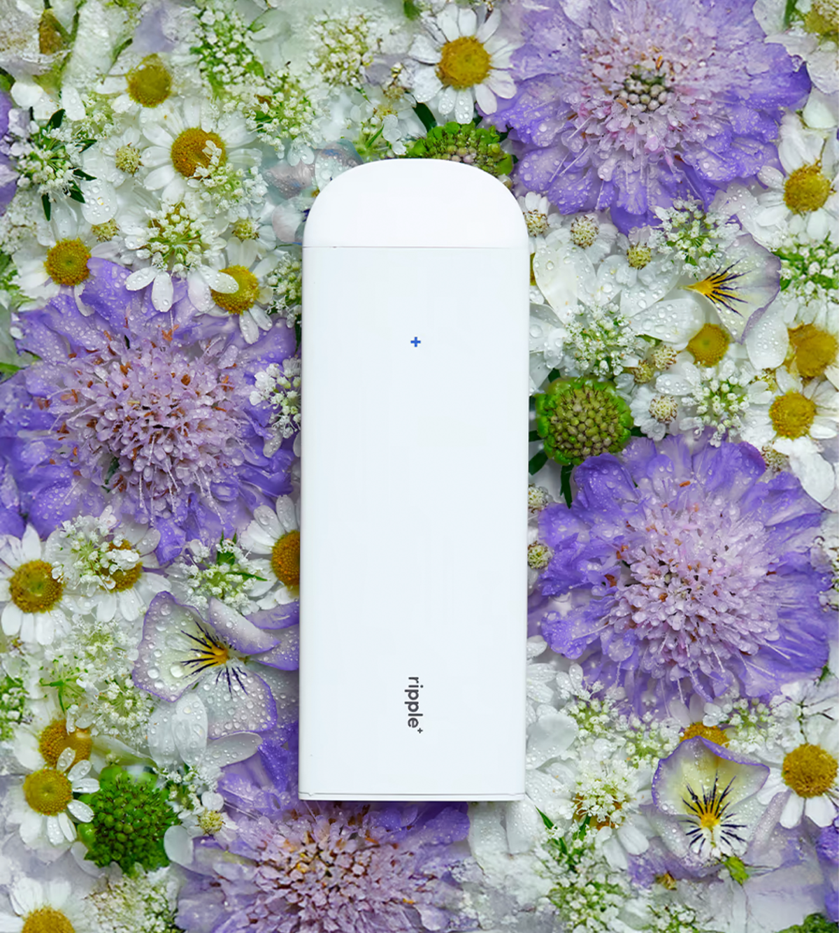 Ripple Plant-Powered Puffs Relax/Jasmine Vaporizer - Image 3 of 6