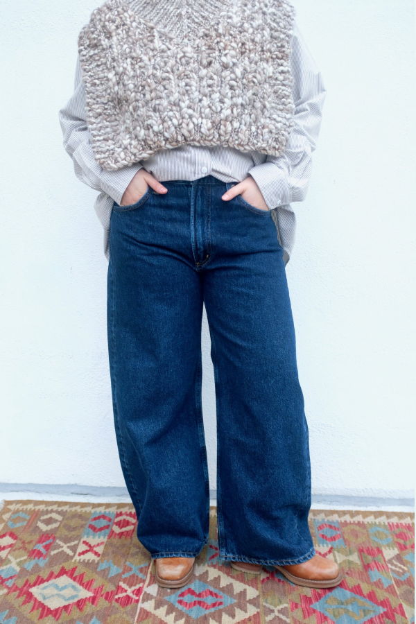 AGOLDE Low Curve Jean