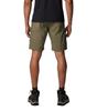Columbia Shorts - Stone Green - Thumbnail 2