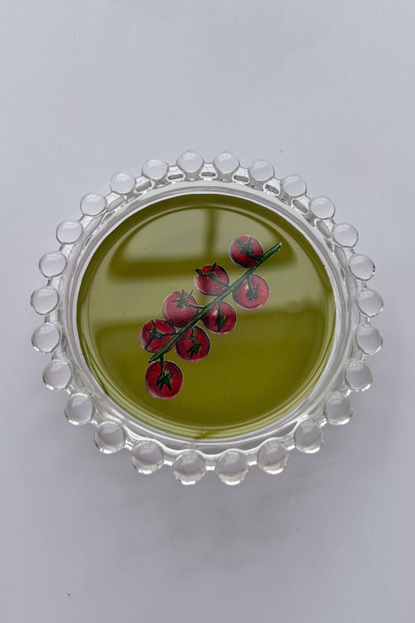 Wear Your Snacks Tomatoes Trinket Dish