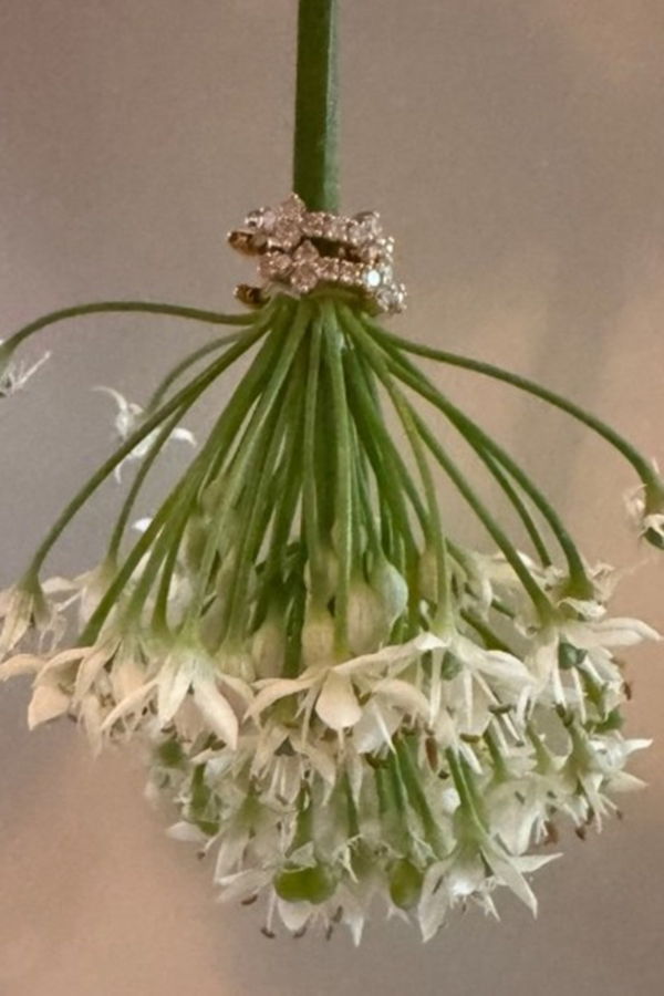 Charme Silkiner Iva Diamond Earrings