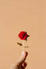This Ilk La Rose Brooch - Thumbnail 2