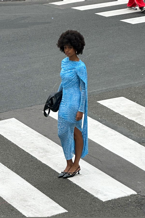 SAEMDI Reptile Printed Cape Dress