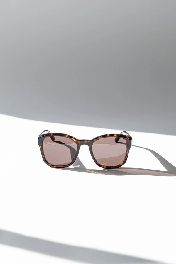 Eva Masaki BQE Goldfinch Sunglasses - Brown