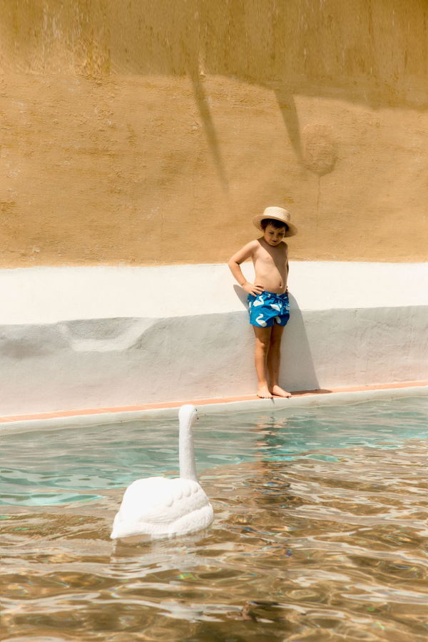 KIDS Tinycottons Big Swans Trunks