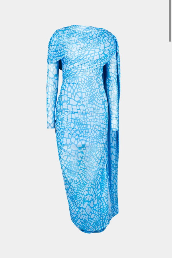 SAEMDI Snake Mesh Long Sleeve Dress - Blue