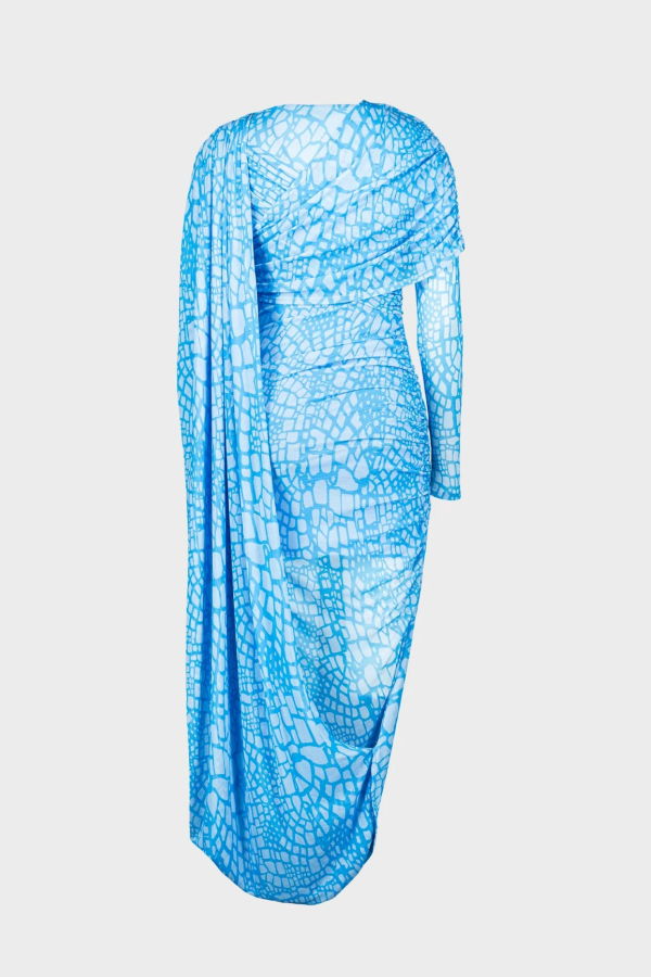 SAEMDI Snake Mesh Long Sleeve Dress - Blue