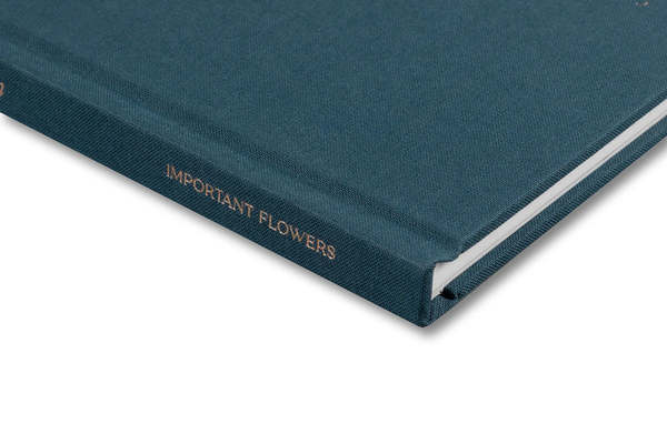 Social Season by Miranda Barnes Book