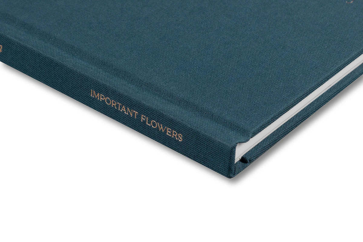 Social Season by Miranda Barnes Book - Image 19 of 23