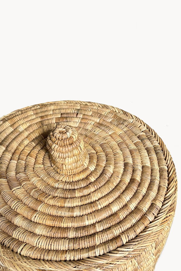 APARTMENT F Palm Laundry/Storage Hamper with Lid