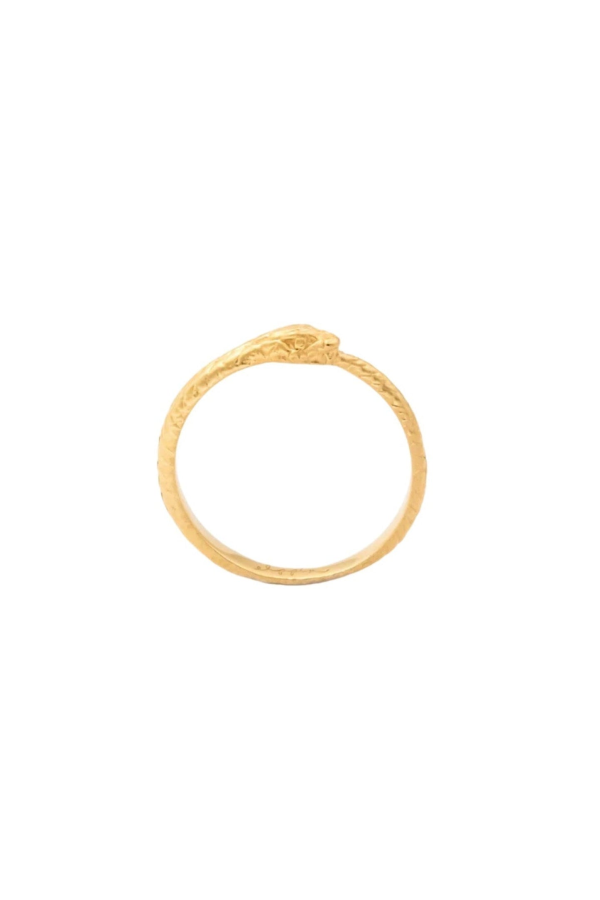 Carina Hardy LP Oroboro Ring