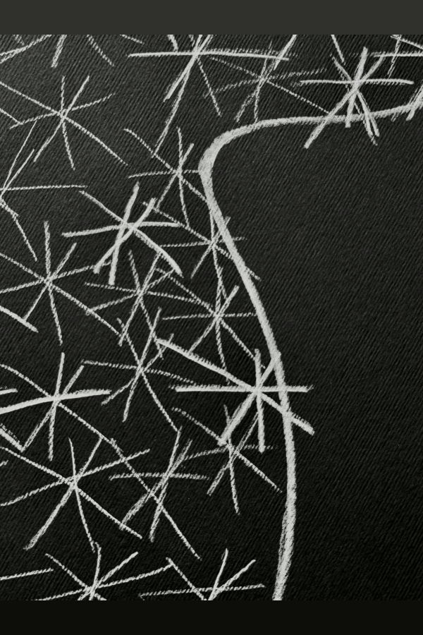 K M by L A N G E Starry Sentinel – Series 32/36 Art Print