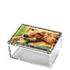 Tara Wilson Designs 5" x 7" Photo Box - Thumbnail 1