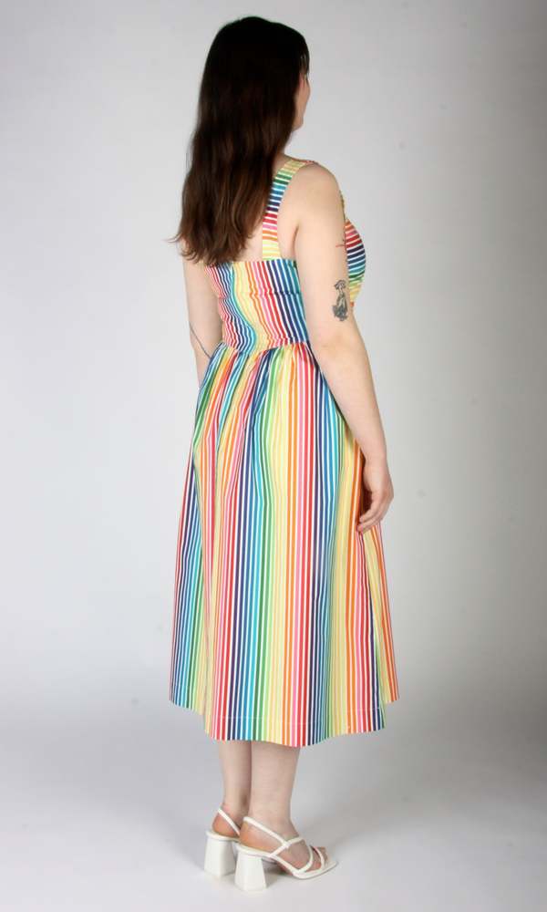 Birds of North America Heathwren Dress