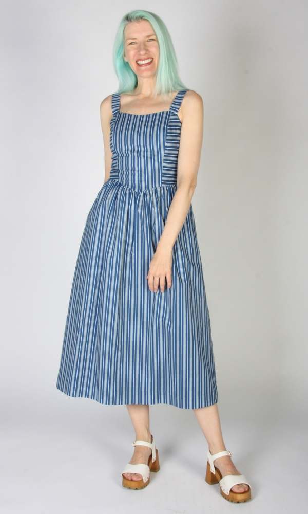 Birds of North America Heathwren Dress