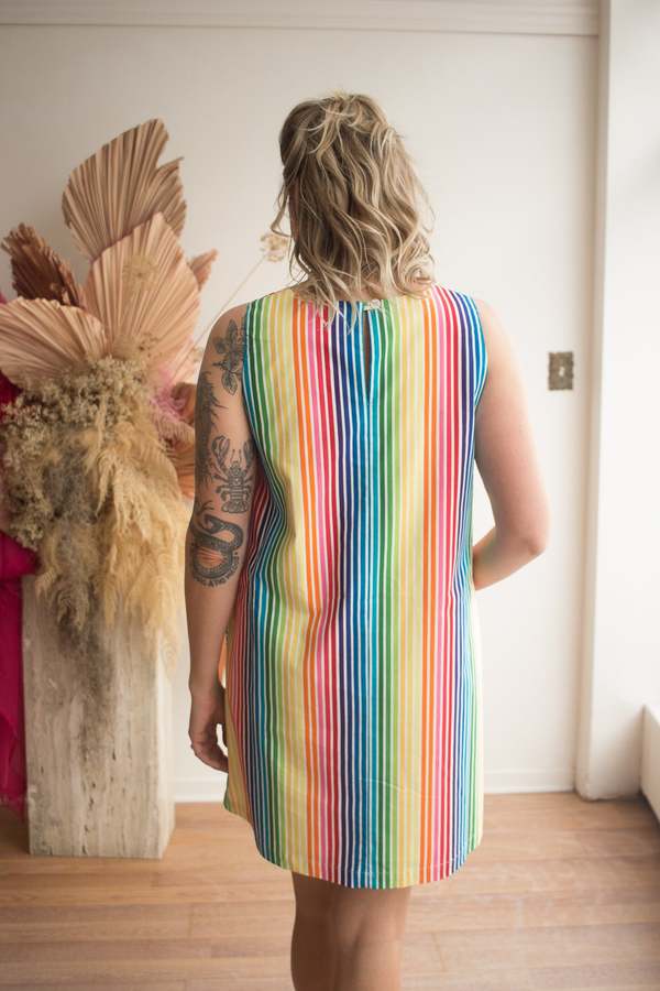 Birds of North America Redpoll Dress