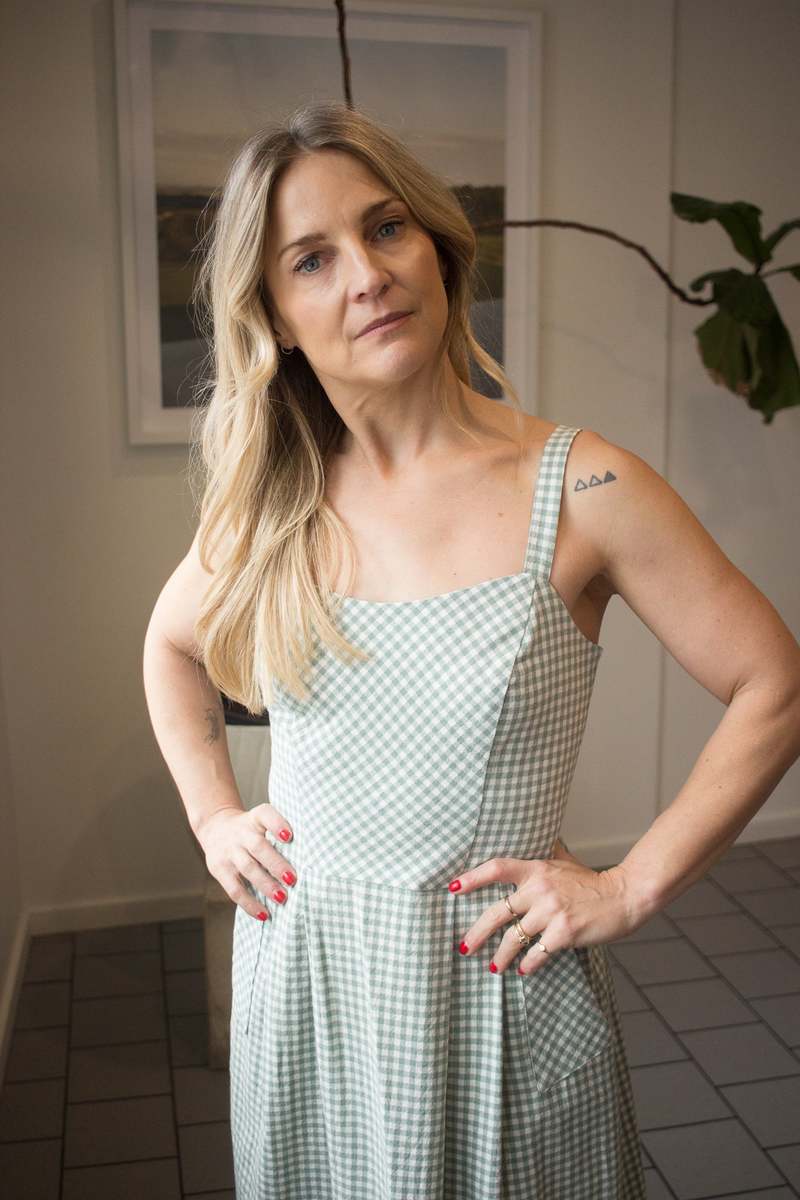 Birds of North America Sparrow Hawk Dress