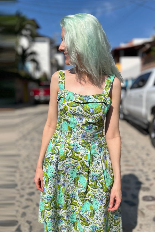 Birds of North America Courlis Dress - Bunny Rush