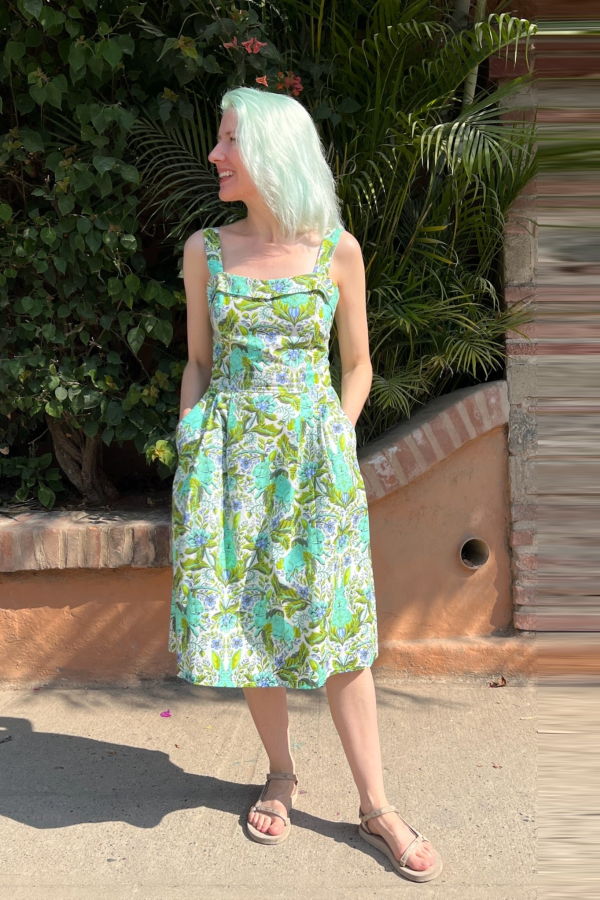 Birds of North America Courlis Dress - Bunny Rush