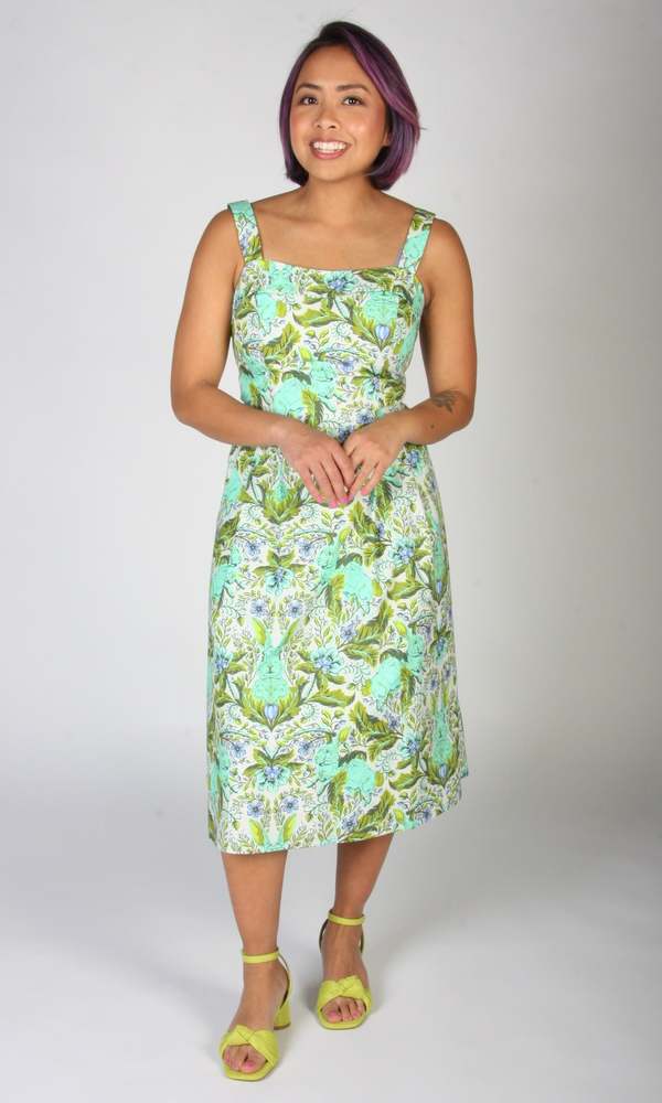 Birds of North America Courlis Dress - Bunny Rush