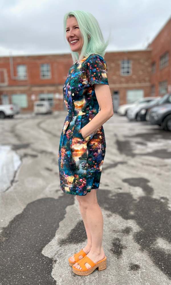 Birds of North America Engoulevent Dress