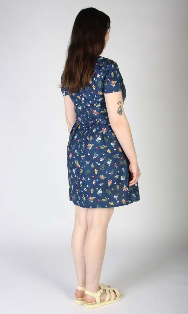 Birds of North America Engoulevent Dress