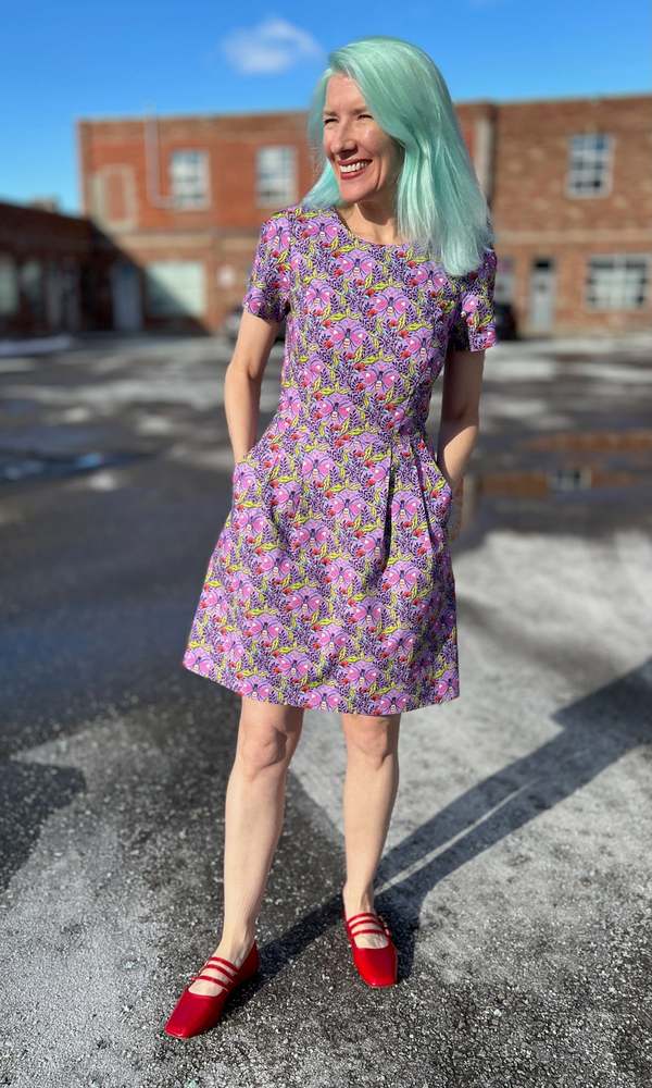 Birds of North America Engoulevent Dress - Love Bugs