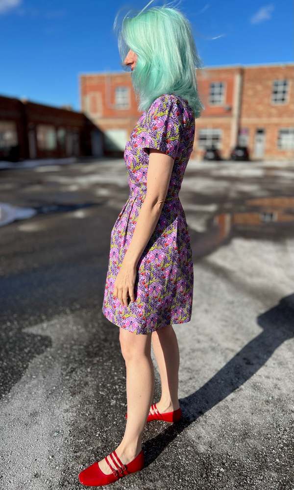 Birds of North America Engoulevent Dress - Love Bugs