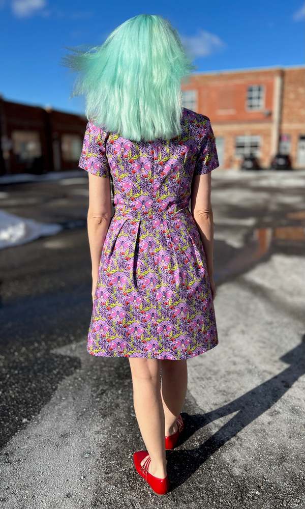 Birds of North America Engoulevent Dress - Love Bugs