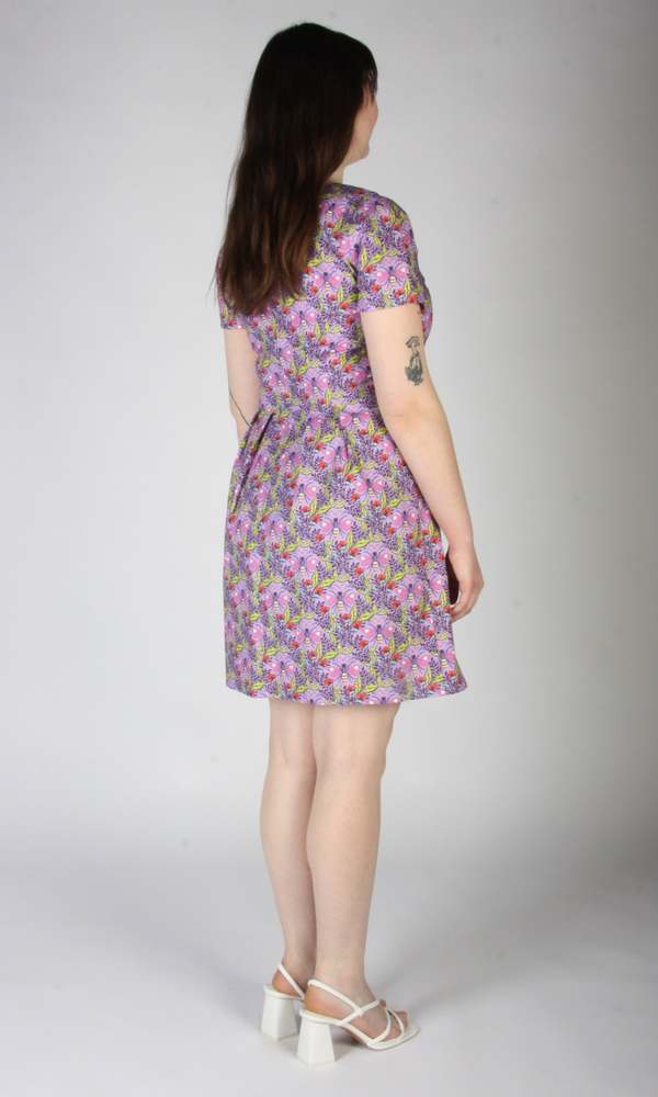 Birds of North America Engoulevent Dress - Love Bugs