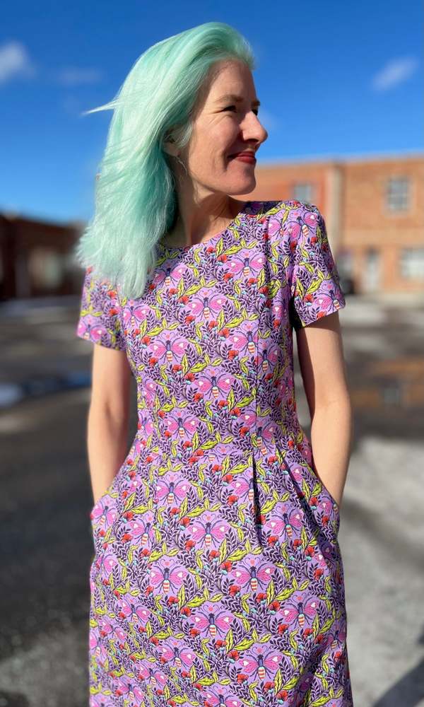 Birds of North America Engoulevent Dress - Love Bugs