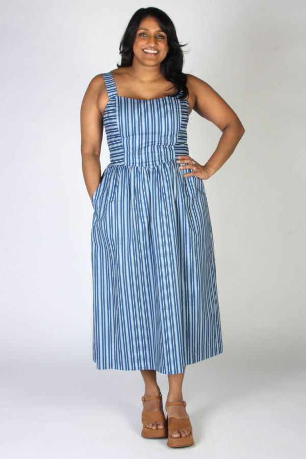 Birds of North America Heathwren Dress - ZigZag