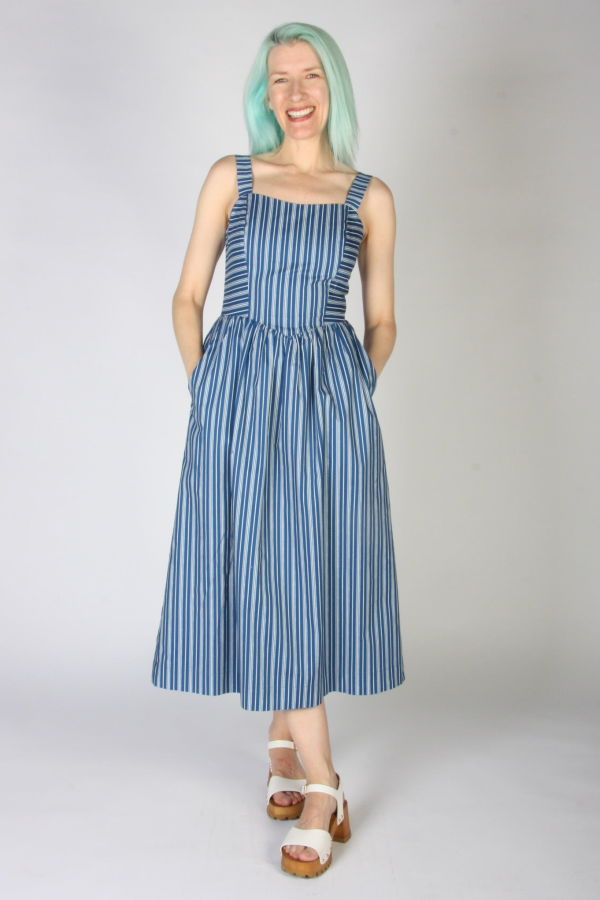 Birds of North America Heathwren Dress - ZigZag