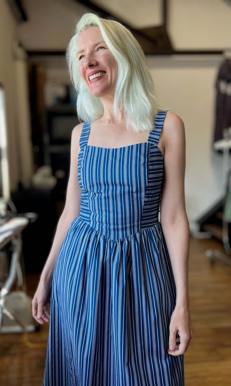 Birds of North America Heathwren Dress - ZigZag