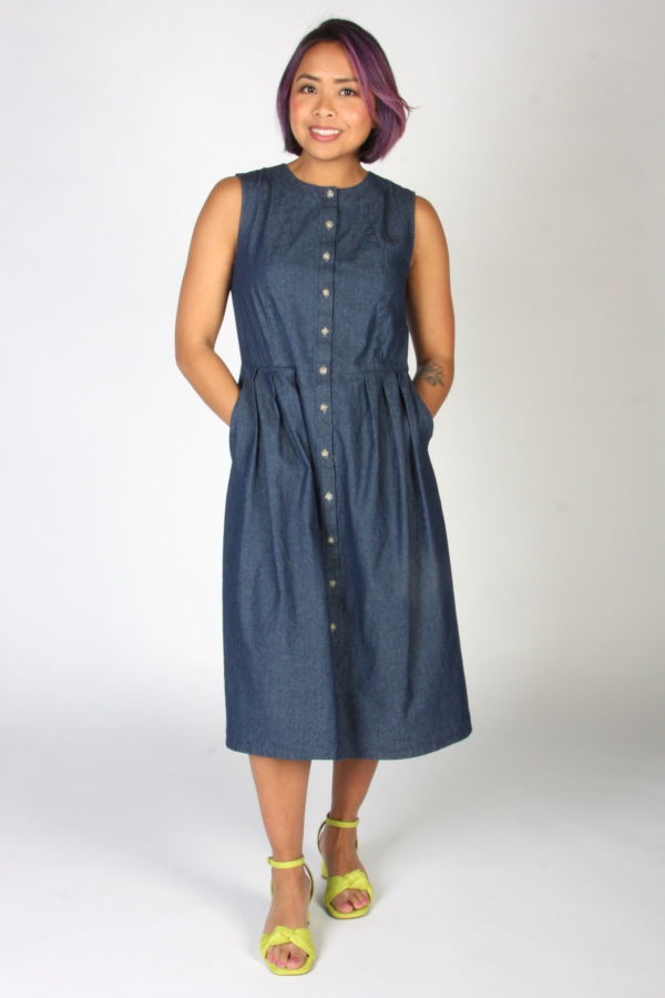 Birds of North America Thunder Pumper Dress