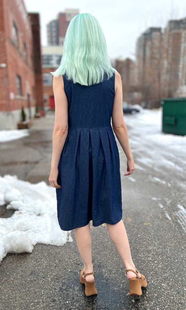 Birds of North America Thunder Pumper Dress