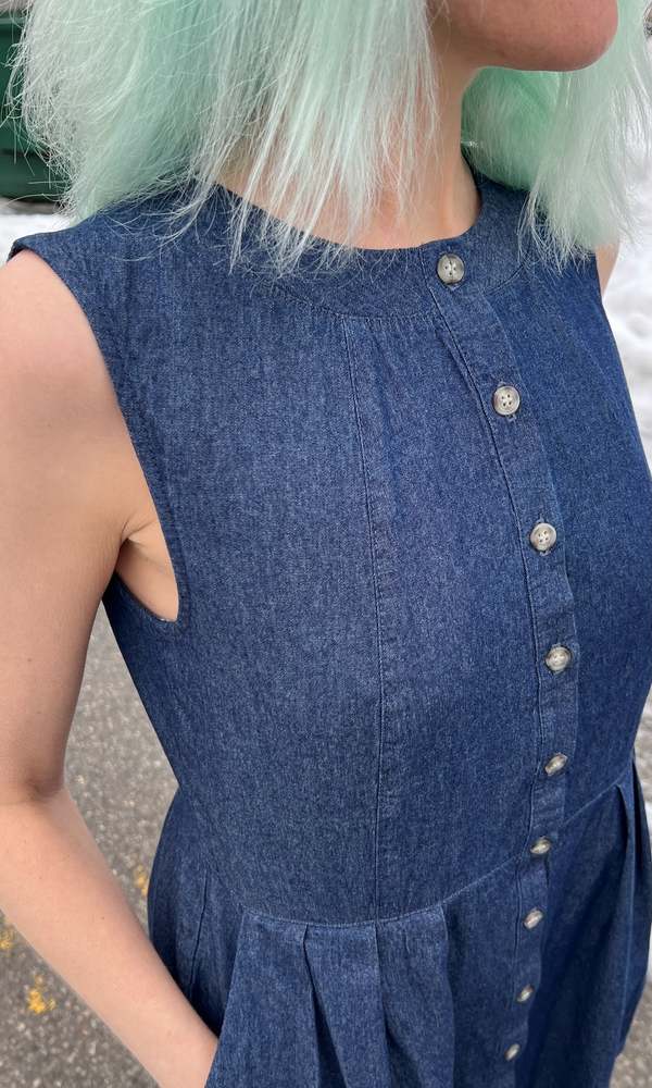 Birds of North America Thunder Pumper Dress