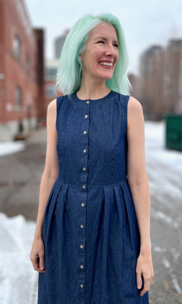 Birds of North America Thunder Pumper Dress