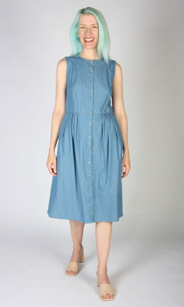 Birds of North America Thunder Pumper Dress